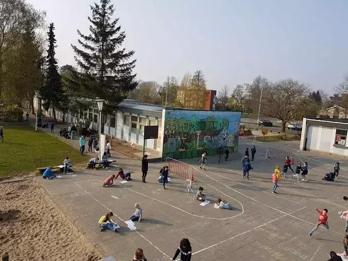 afbeelding basisschool mijlpaal